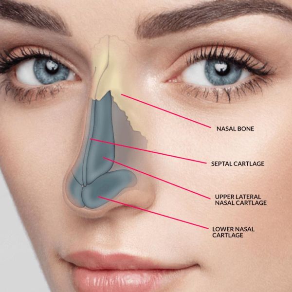 Best Rhinoplasty Surgeon in Ludhiana